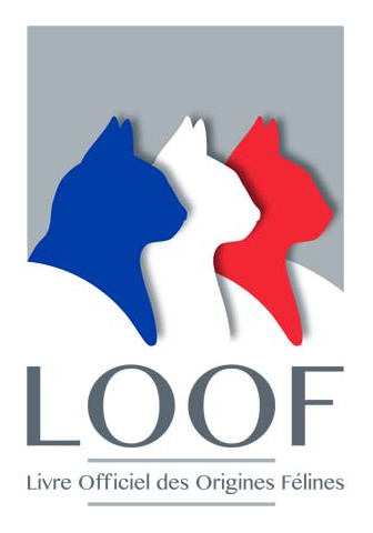 logoLOOF2014