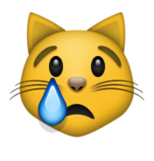 chat triste