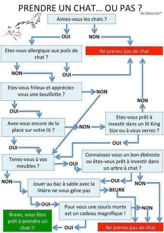 Outil décisionnel