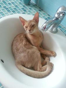 je prend la pose
