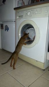 ikeb et machine