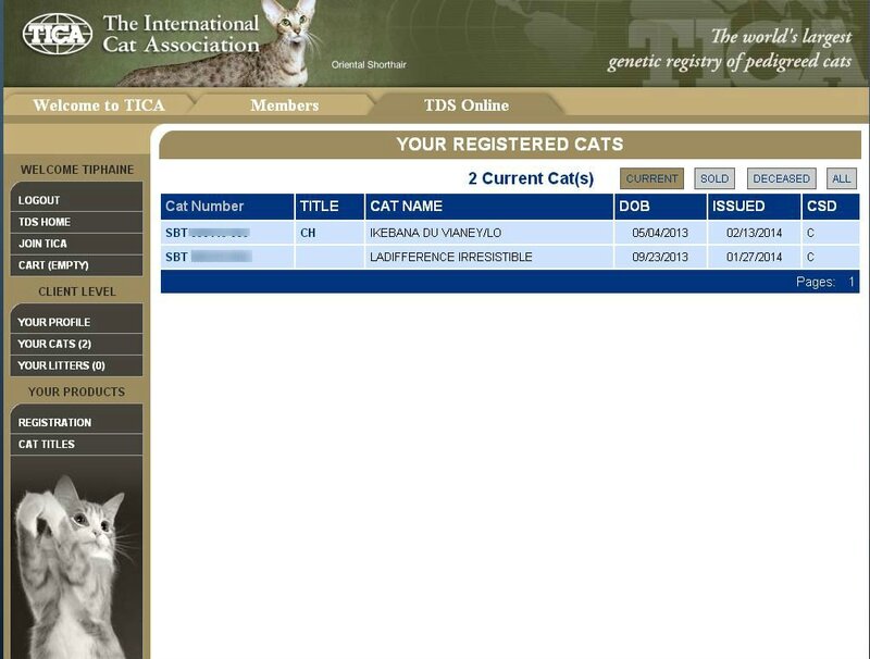 tds online1